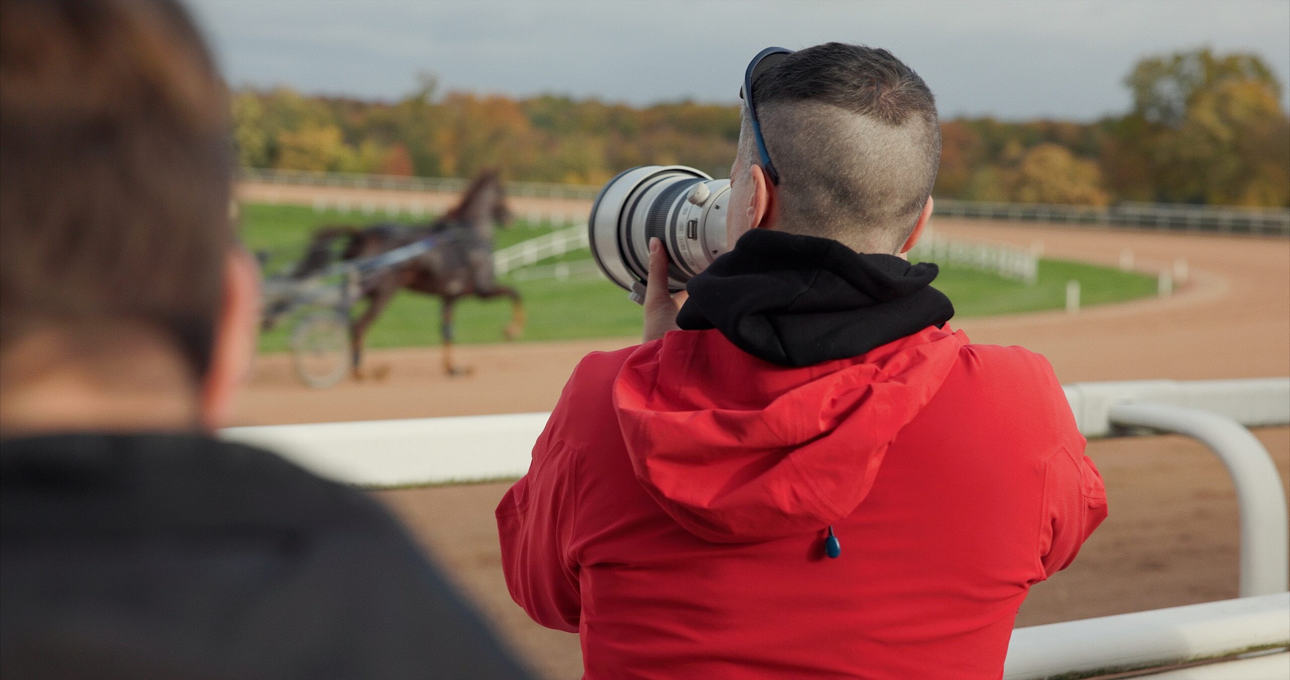 un homme de dos en train de prendre un cheval en photo